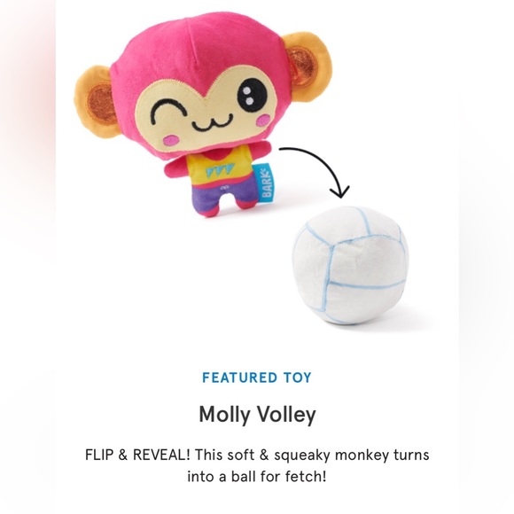 Bark Box Molly Volly - Picture 4 of 4